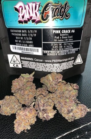 Jungle Boys Pink Crack kopen