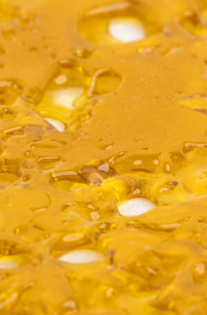 Elevated Extracts Shatter Kopen