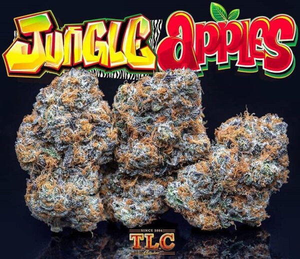 Jungle Boys Jungle Apples Online Kopen