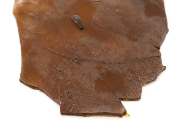 Purple Kush Shatter Concentrate