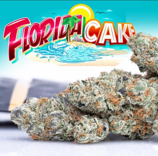 Jungle Boys Florida Cake Online Kopen