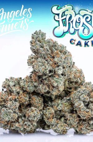 Jungle Boys Frosted Cake Online Kopen