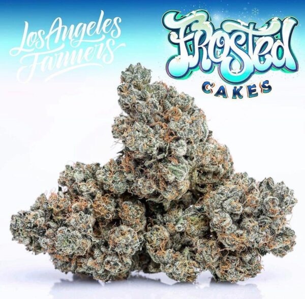 Jungle Boys Frosted Cake Online Kopen