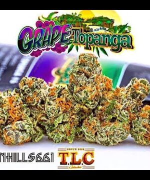 Jungle Boys Grape Topanga Online Kopen